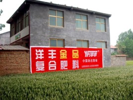 曲靖如何让墙体广告展现最大化效果